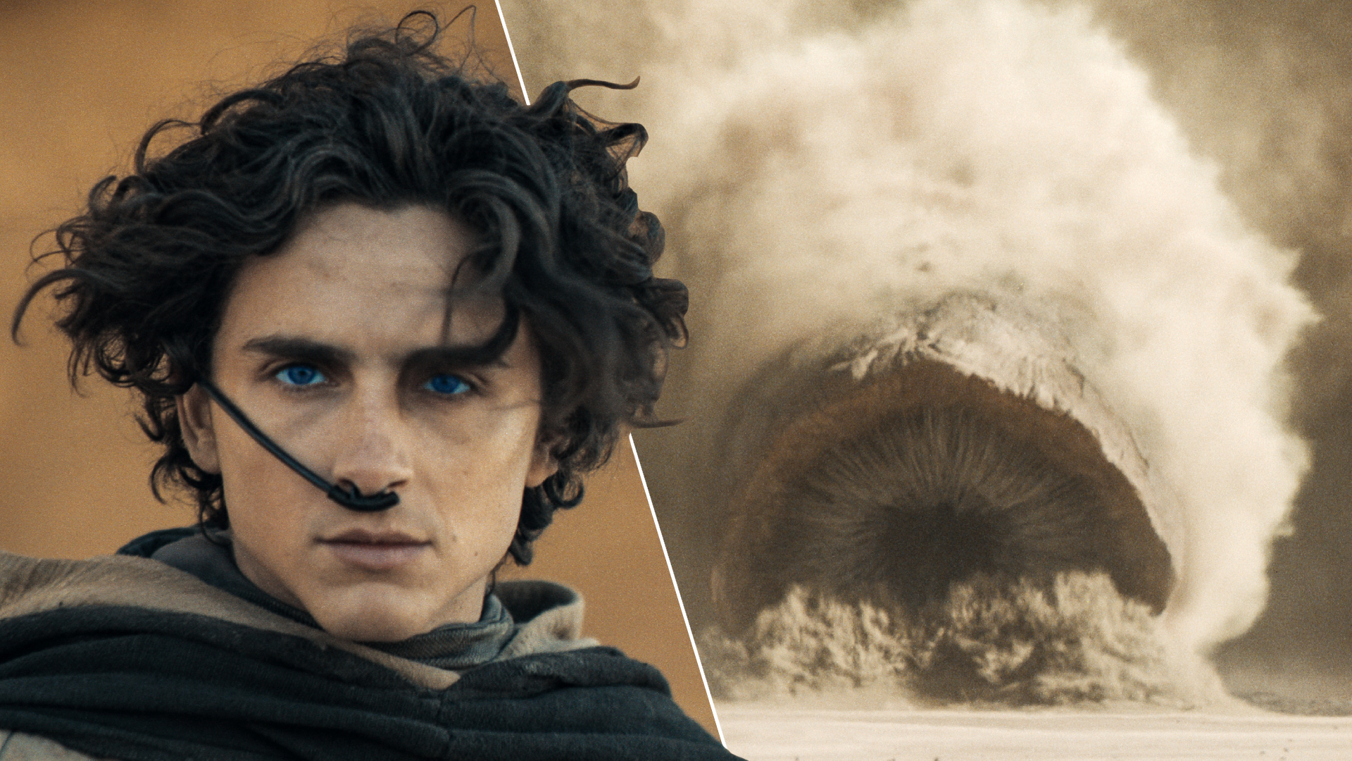 © 2023 Warner Bros. Entertainment Inc. All Rights Reserved.