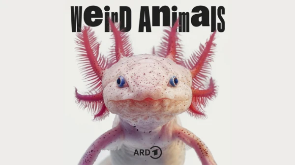 "Weird Animals" | Podcasting Show, © rbb24 "Weird Animals" | Podcasting Show, © rbb24