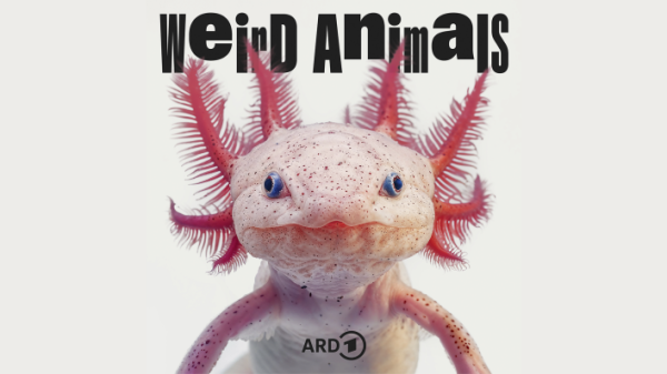 "Weird Animals" | Podcasting Show, © rbb24