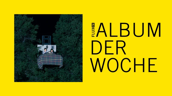 The Army, The Navy | Album der Woche The Army, The Navy | Album der Woche
