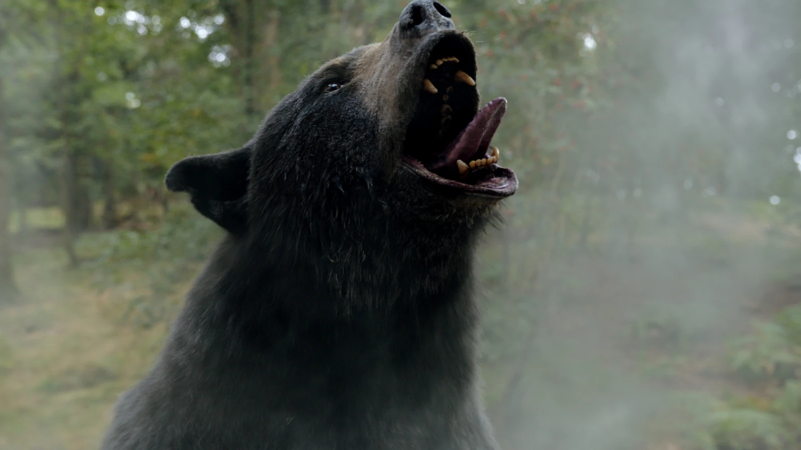 Kino und Streaming: Neue Serien und Filme | Breitbild KW 15/23, © 2023 Universal Studios. All Rights Reserved. Kino und Streaming: Neue Serien und Filme | Breitbild KW 15/23, © 2023 Universal Studios. All Rights Reserved.