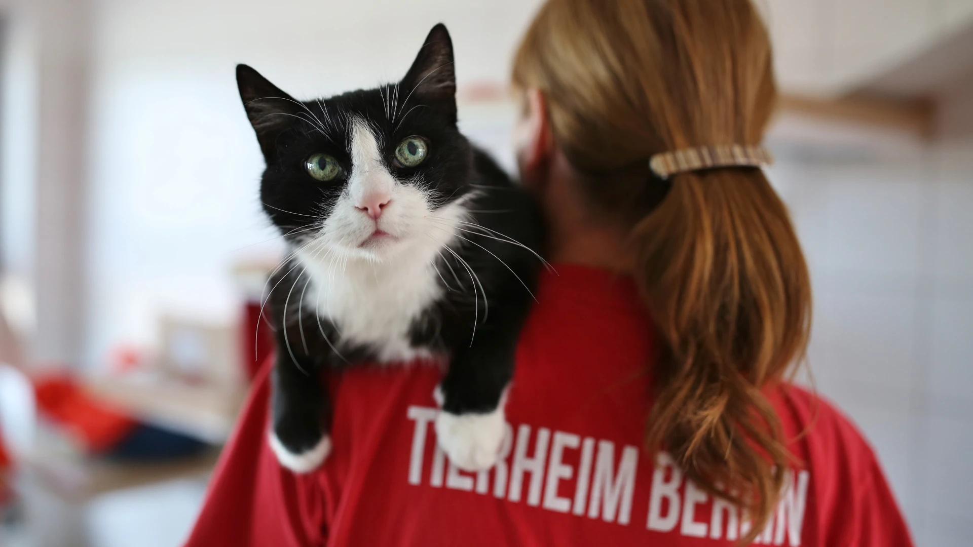 © Tierschutzverein Berlin © Tierschutzverein Berlin