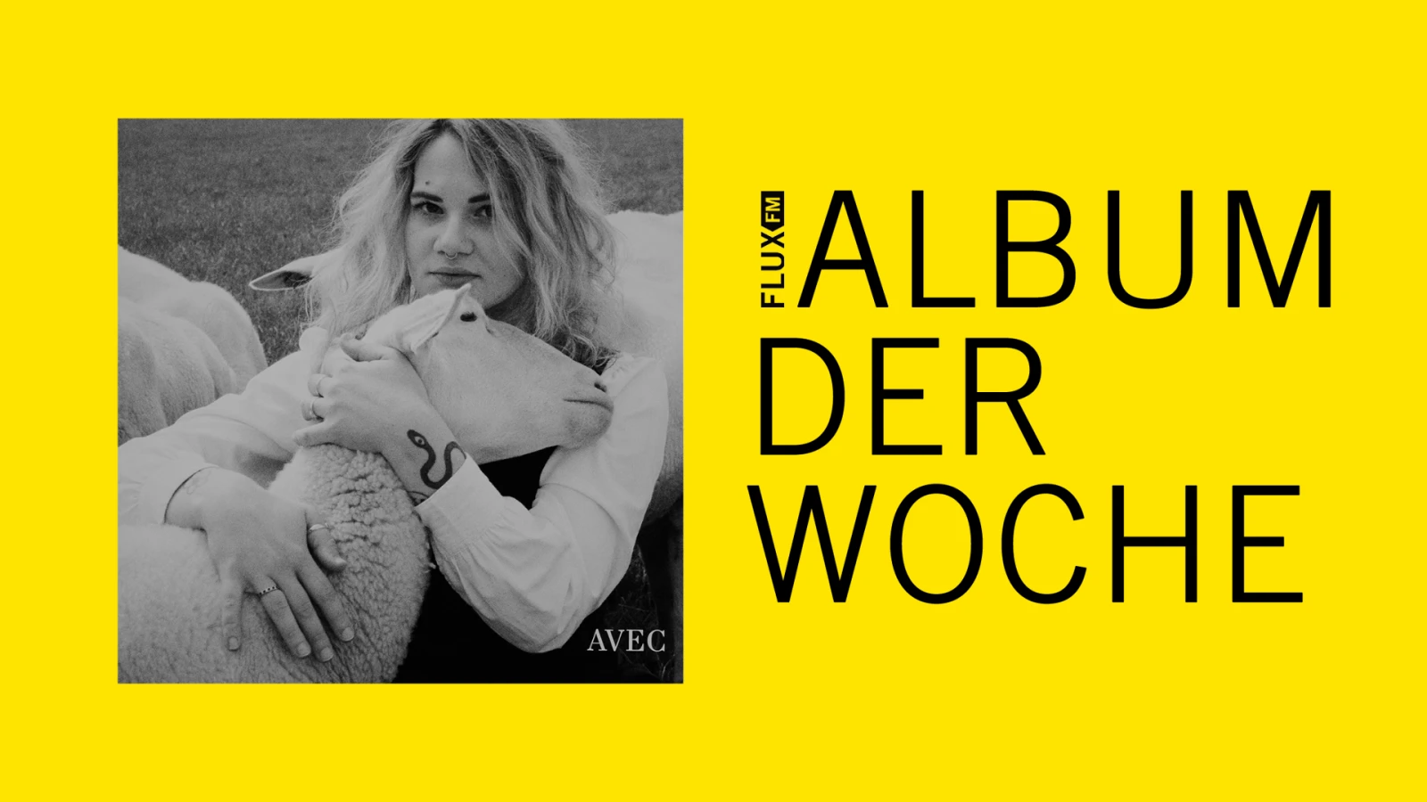AVEC - AVEC | Album der Woche, © FluxFM AVEC - AVEC | Album der Woche, © FluxFM