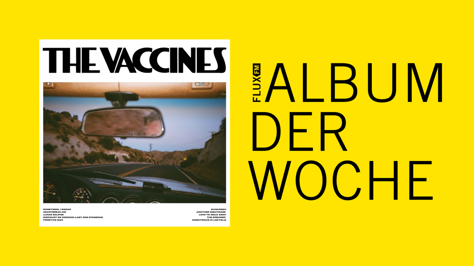 The Vaccines - "Pick-Up Full Of Pink Carnations" | Album der Woche, © Micha Gehrig