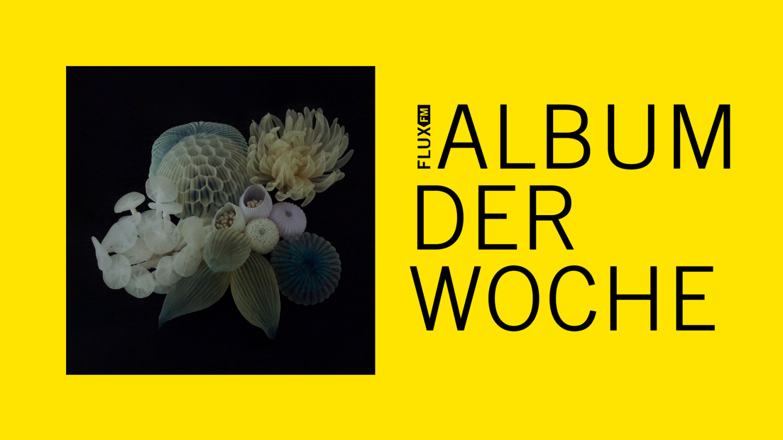 Low Island - "Life In Miniature" | Album der Woche