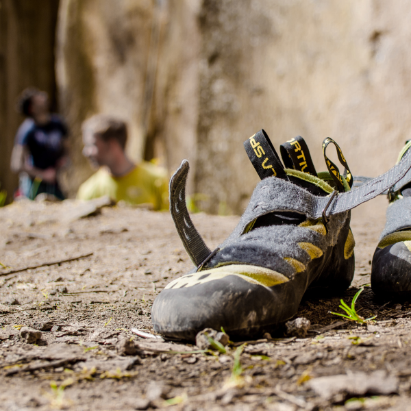 © Julia Margeth Theuer / unsplash