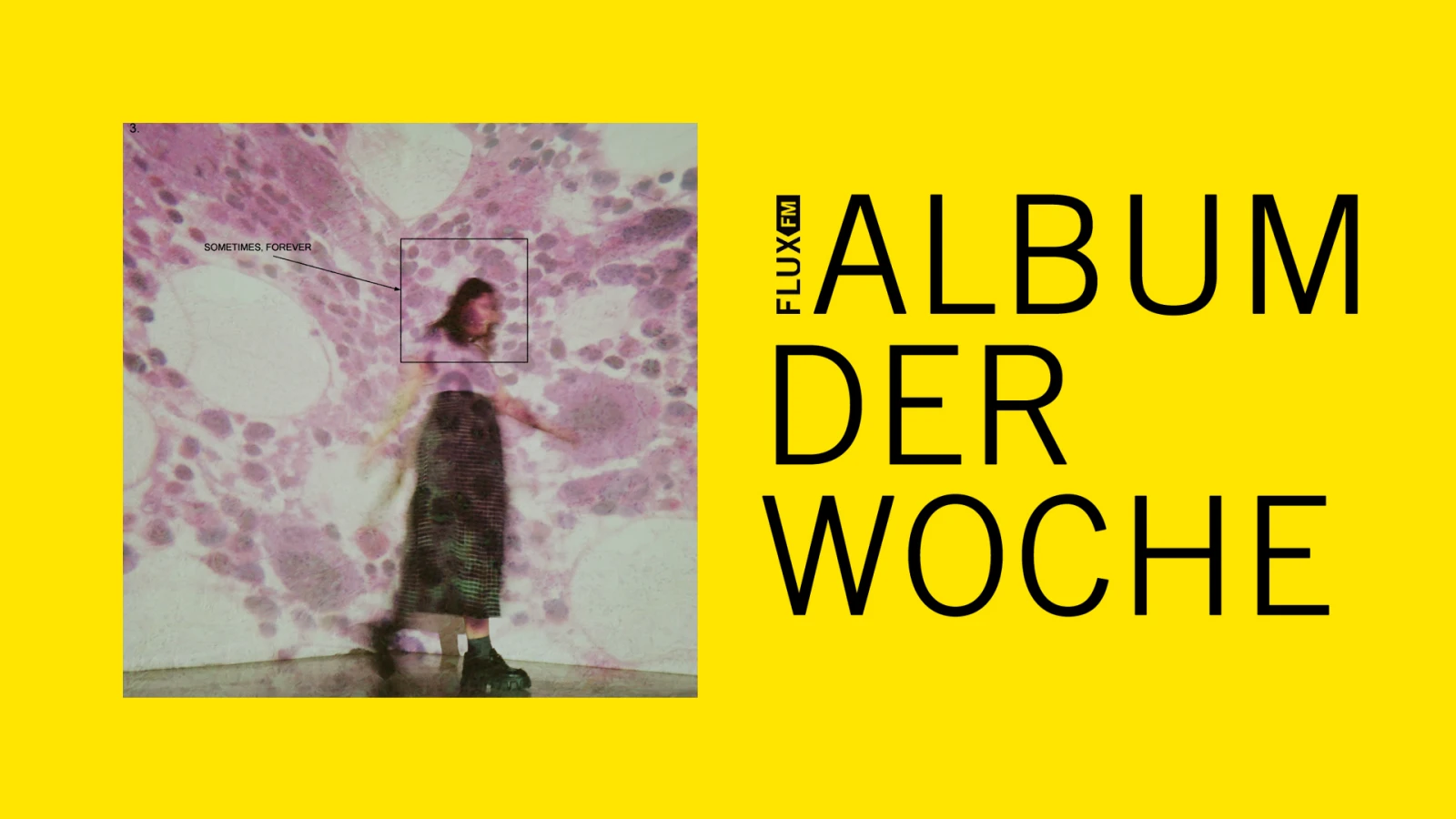 Soccer Mommy - "Sometimes, Forever" Soccer Mommy - "Sometimes, Forever"