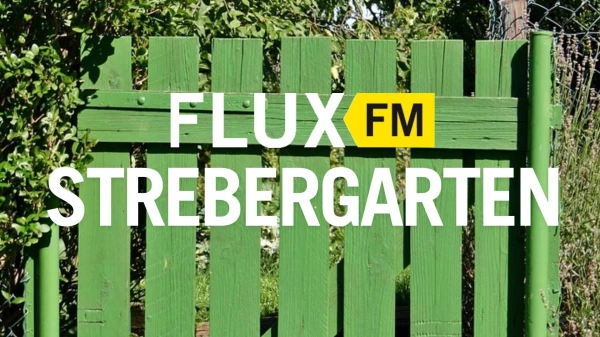 Folge 4: Hecke, Zaun & Nachbarschaft: Regeln für ein gutes Miteinander | FluxFM im Strebergarten, © Foto: Catkin auf Pixabay Folge 4: Hecke, Zaun & Nachbarschaft: Regeln für ein gutes Miteinander | FluxFM im Strebergarten, © Foto: Catkin auf Pixabay