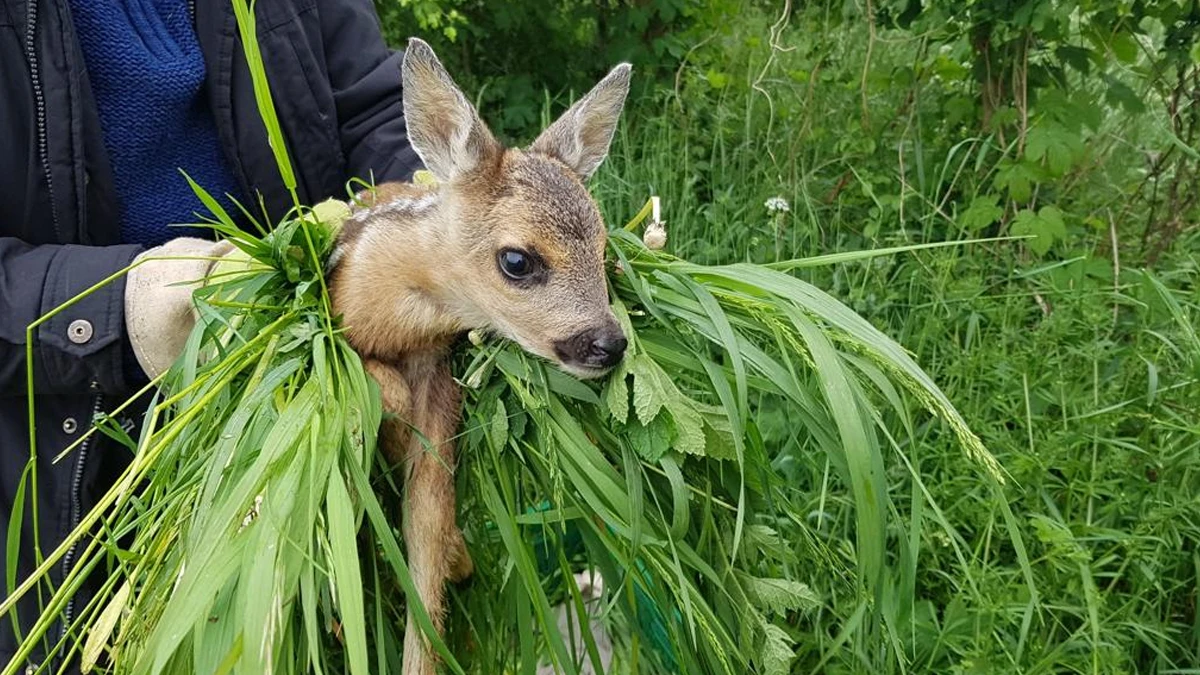 © Anne Bochmann und Tommy Dobrosch © Anne Bochmann und Tommy Dobrosch