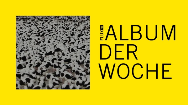 Stella Donnelly - "Flood" | Album der Woche Stella Donnelly - "Flood" | Album der Woche