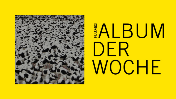 Stella Donnelly - "Flood" | Album der Woche