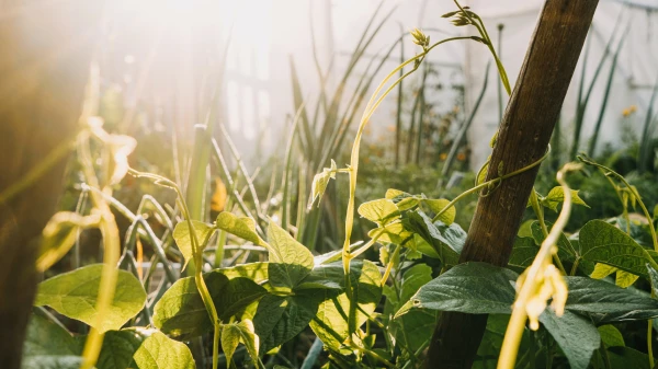 Permakultur | 5 vor 12 Permakultur | 5 vor 12