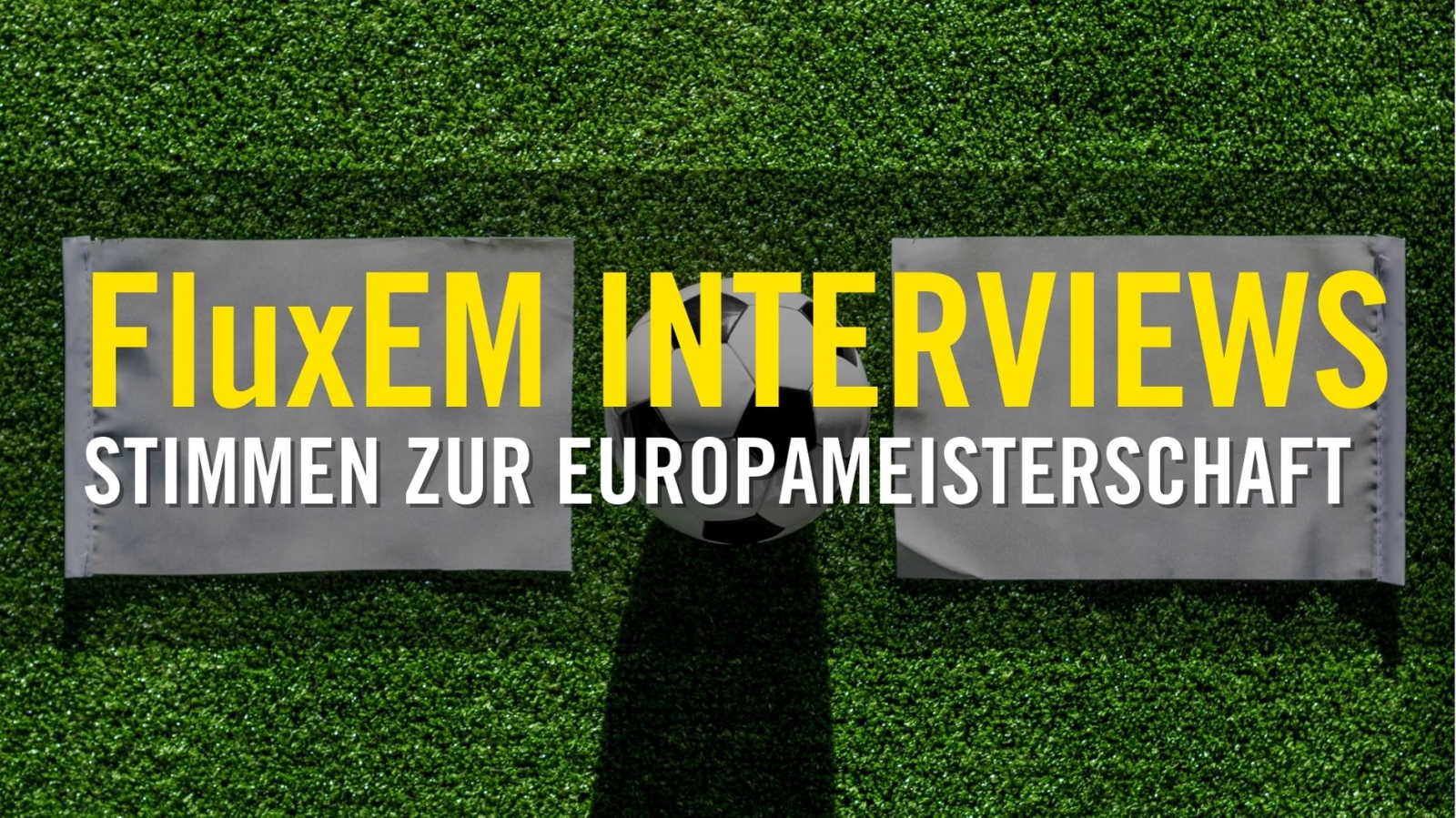 FluxEM | Interviews