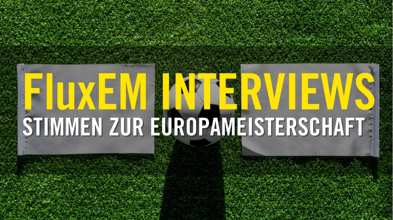 FluxEM | Interviews FluxEM | Interviews