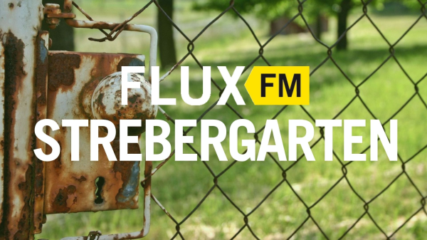 Folge 7: Über die Hecke geschaut: Fazit und Ausblick | FluxFM im Strebergarten, © Foto: Catkin auf Pixabay 