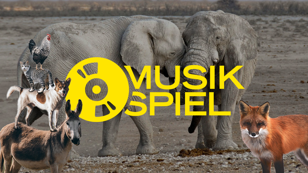 Von Mäusen und Giraffen - schickt uns Songwünsche zum Thema: "Vierbeiner" | FluxFM Musikspiel