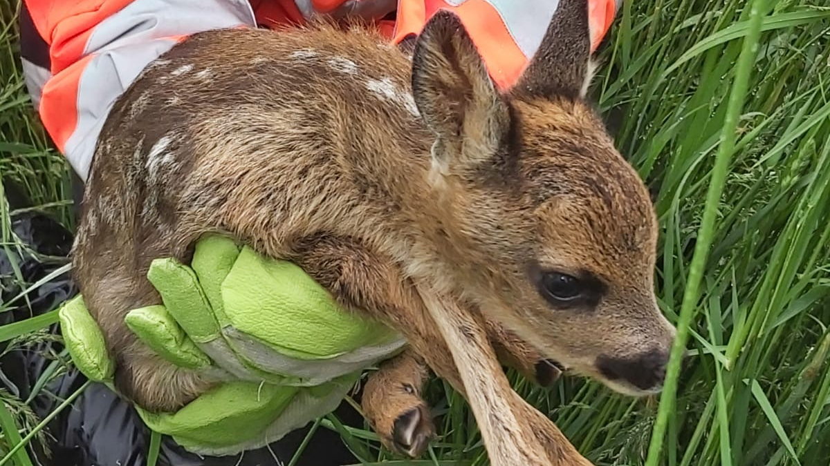 © Rettungshundestaffel Barnim e.V. 