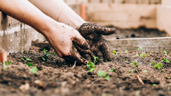 Wwoof Deutschland | 5 vor 12, © Sandi Clarke / Unsplash Wwoof Deutschland | 5 vor 12, © Sandi Clarke / Unsplash