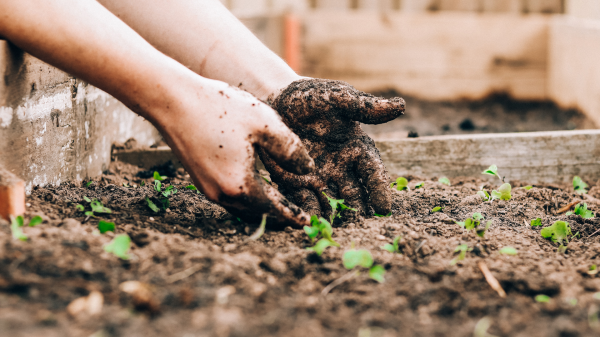 Wwoof Deutschland | 5 vor 12, © Sandi Clarke / Unsplash