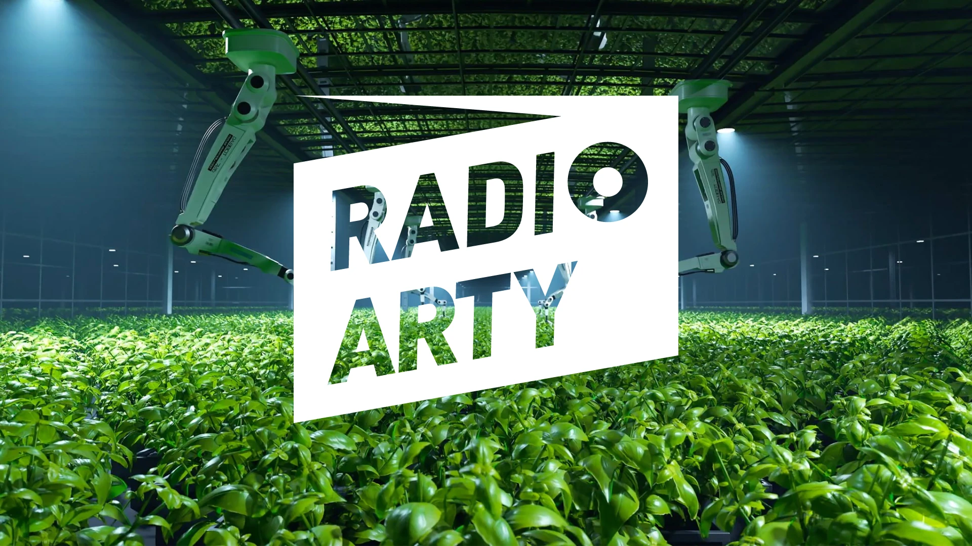 © Nina E. Schönefeld © Nina E. Schönefeld