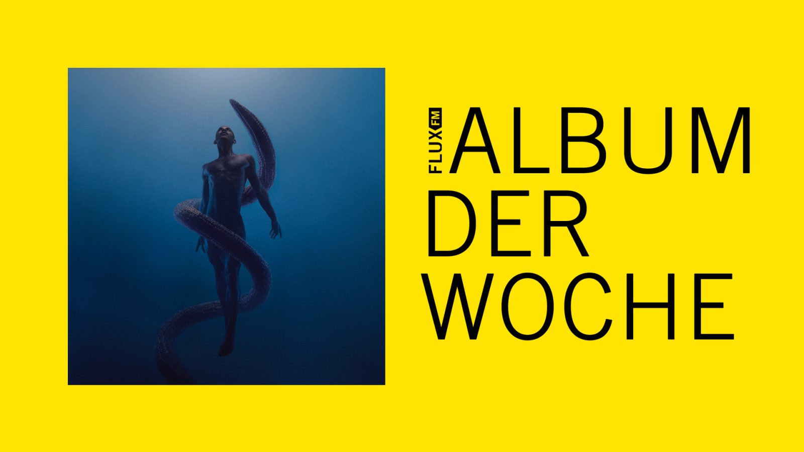 Lie Ning - Utopia | Album der Woche