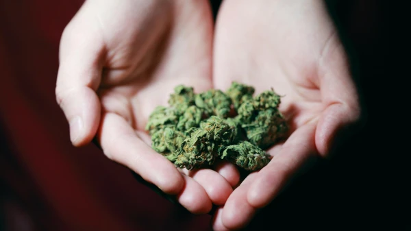 Cannabis Social Clubs | Die FluxFM Cannabiswoche , © Alexander Grey Cannabis Social Clubs | Die FluxFM Cannabiswoche , © Alexander Grey