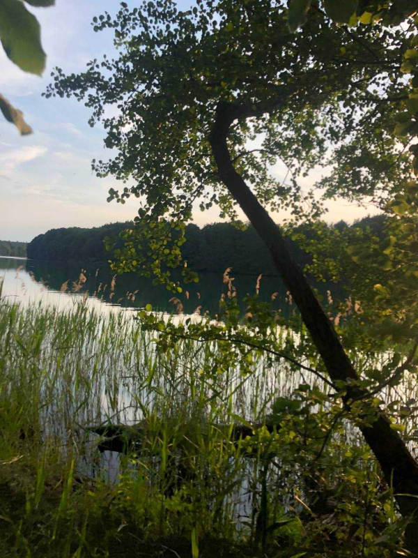 Redakteurin Yola Jordans hat ihn für euch besucht - den Liepnitzsee, © Yola Jordans