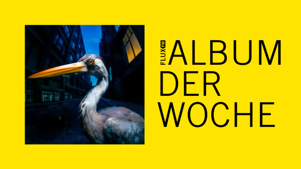 Antony Szmierek - Decoding Birdsong | Album der Woche