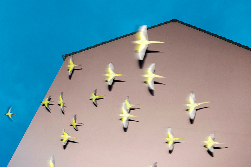 © Erik Irmer