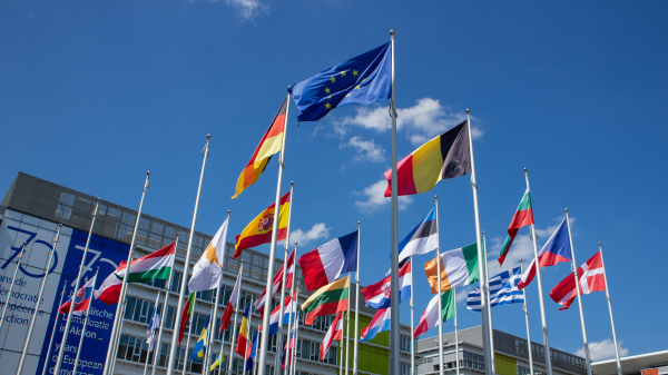 FAQs zur Europawahl: die Parteien, © Gintarė Kairaitytė