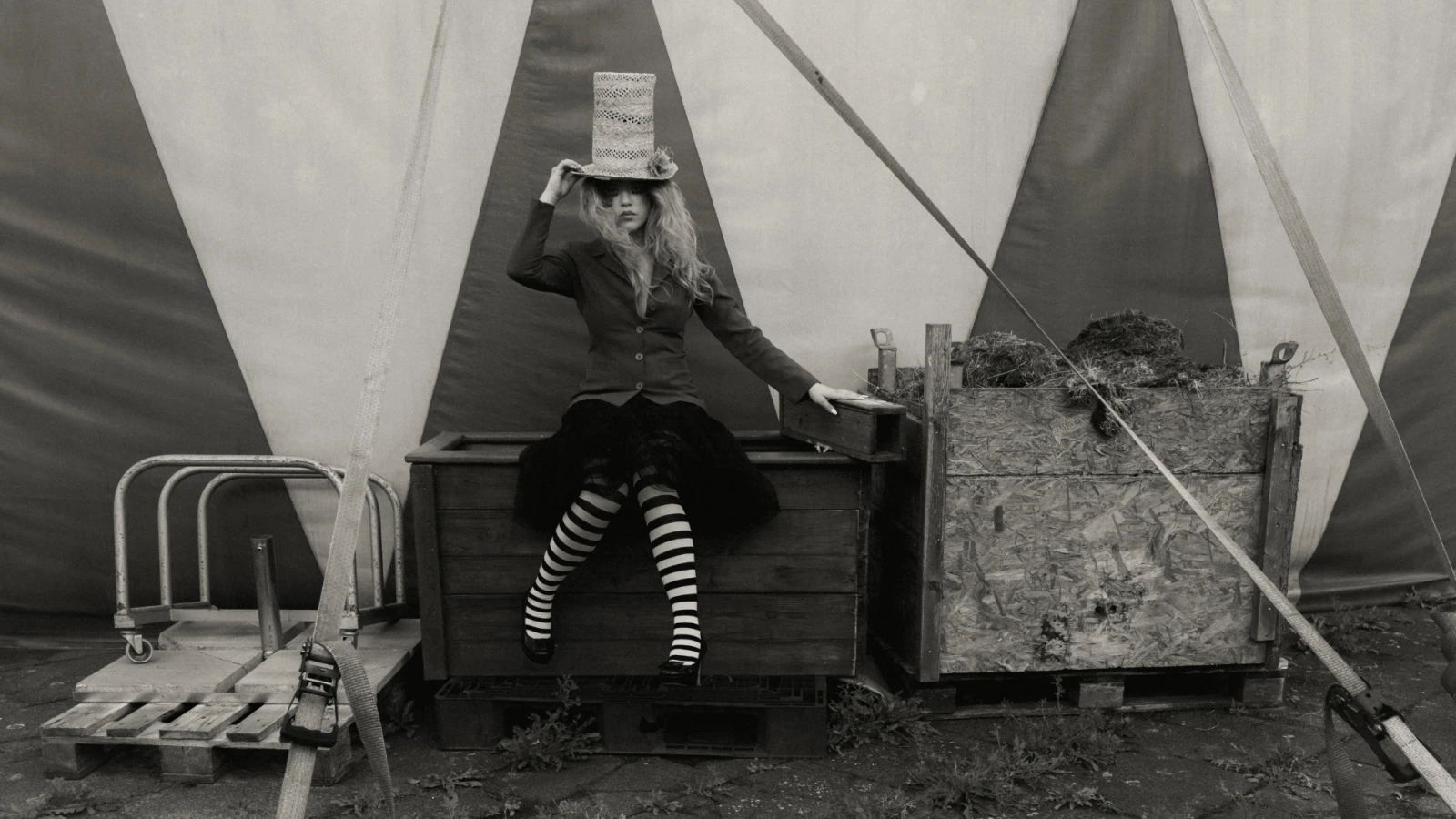 Paula Dalla Corte | Konzert, © Dominik Friess Paula Dalla Corte | Konzert, © Dominik Friess