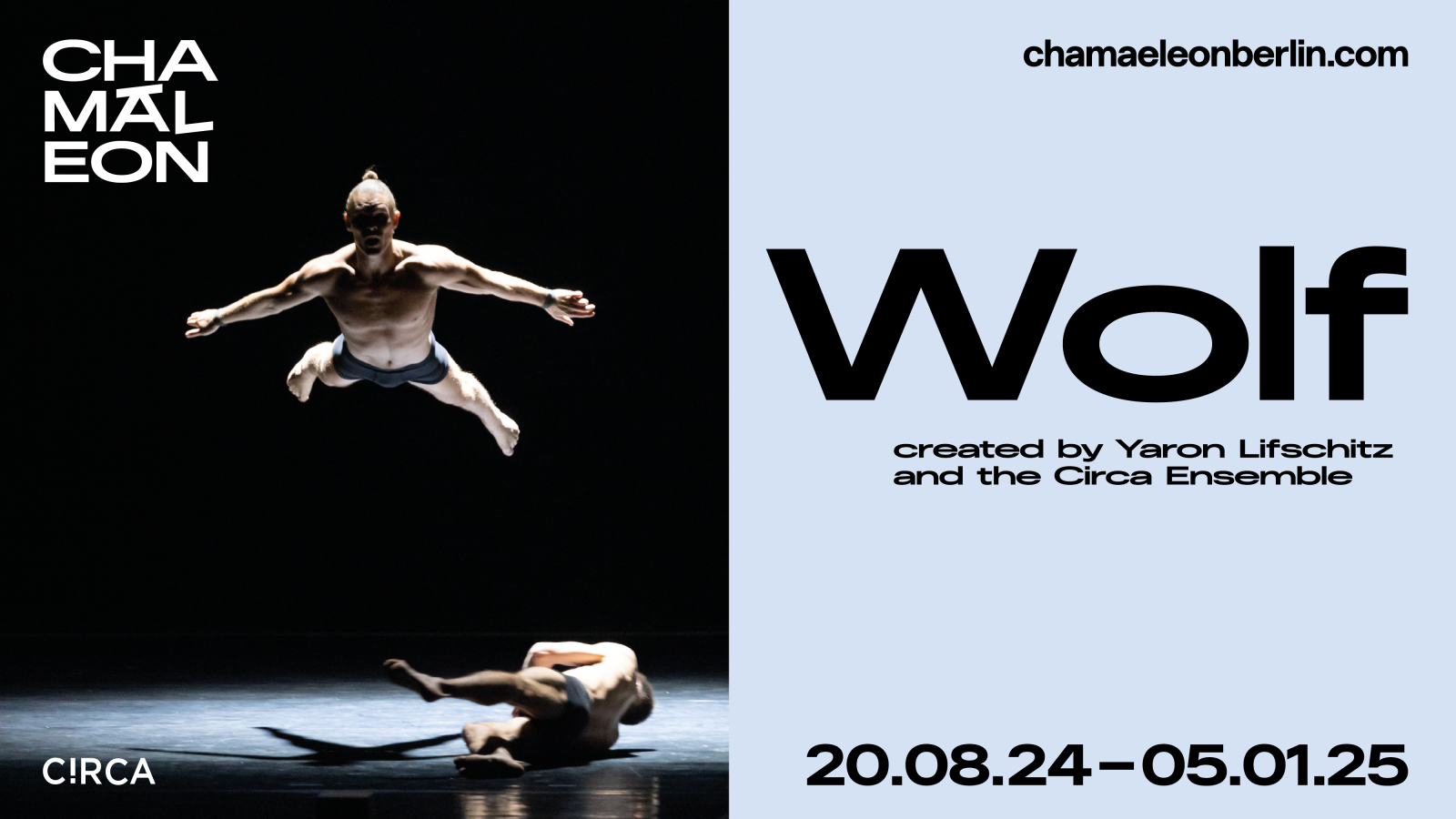 "Wolf" im Chamäleon Berlin, © Chamäleon 