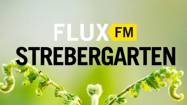 Folge 6: Ein eigenes Stück Grün – Wie komme ich an eine Parzelle? | FluxFM im Strebergarten, © Foto: TiênSinh auf Pixabay Folge 6: Ein eigenes Stück Grün – Wie komme ich an eine Parzelle? | FluxFM im Strebergarten, © Foto: TiênSinh auf Pixabay