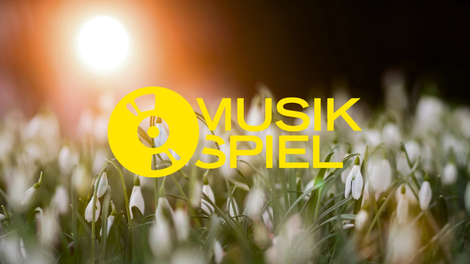 Ein Strauß Musik: Schickt eure Songwünsche zum Thema "Blumen" | FluxFM Musikspiel Ein Strauß Musik: Schickt eure Songwünsche zum Thema "Blumen" | FluxFM Musikspiel