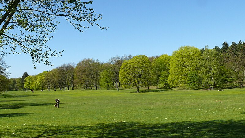 © Fridolin freudenfett