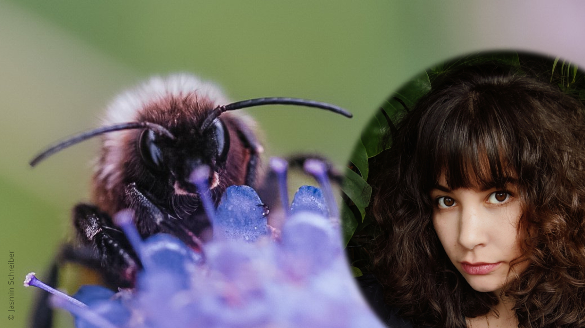 Jasmin Schreiber zum Weltbienentag | Interview, © Jasmin Schreiber
