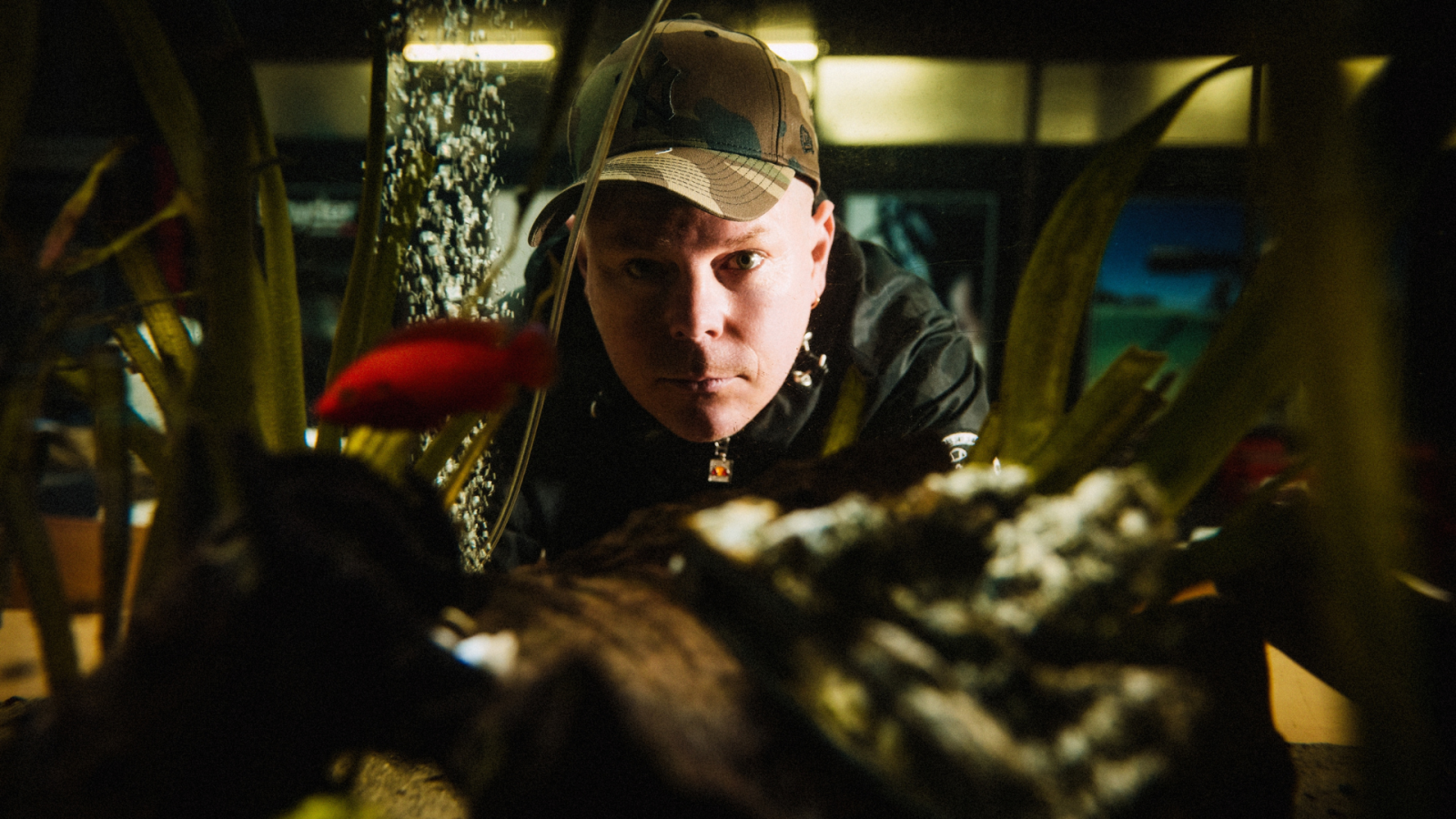 König Boris | Konzert, © Katja Runge