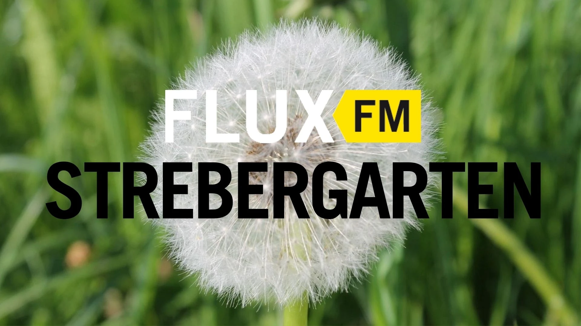 © Pixabay © Pixabay