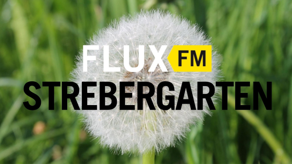 Folge 2: Gesetz & Ordnung: Rechtliches rund um Laube und Land | FluxFM im Strebergarten, © Pixabay 