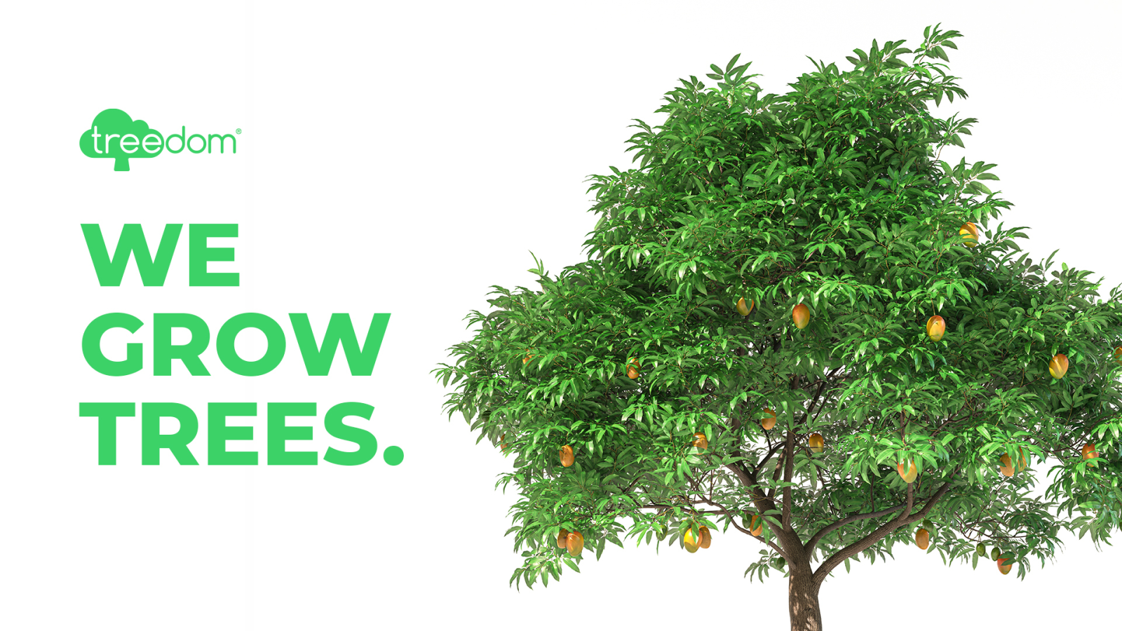 Für eine grünere Erde: Treedom lässt Bäume wachsen 