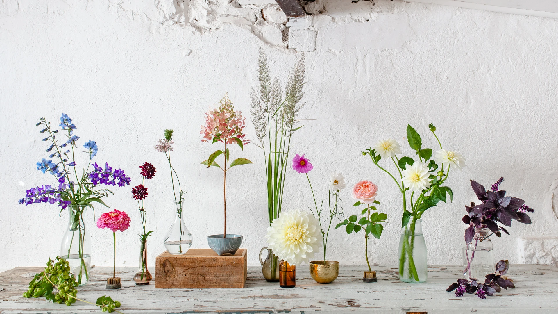 © Grit Hartung © Grit Hartung