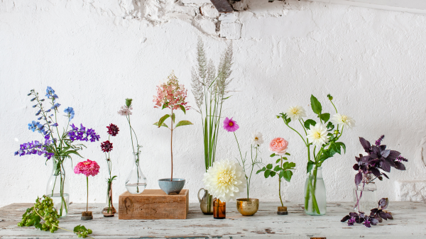 Slowflower | 5 vor 12, © Grit Hartung