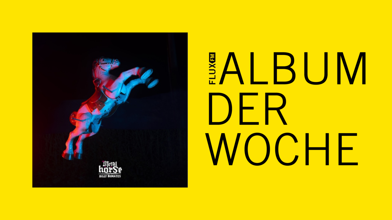 Billy Nomates - Metalhorse | Album der Woche, © FluxFM