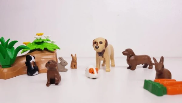 Pandemiez und Mops | Die FluxFM-Tierwoche Pandemiez und Mops | Die FluxFM-Tierwoche