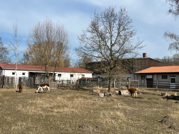 © Matti Geyer © Matti Geyer