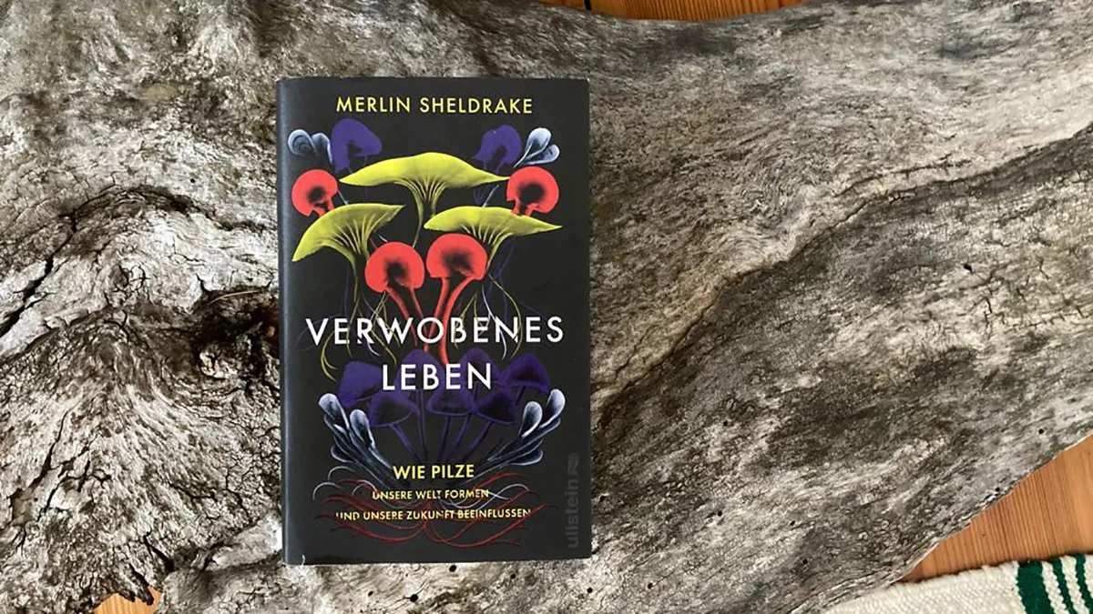Merlin Sheldrake – Verwobenes Leben | Lesen und lesen lassen Merlin Sheldrake – Verwobenes Leben | Lesen und lesen lassen