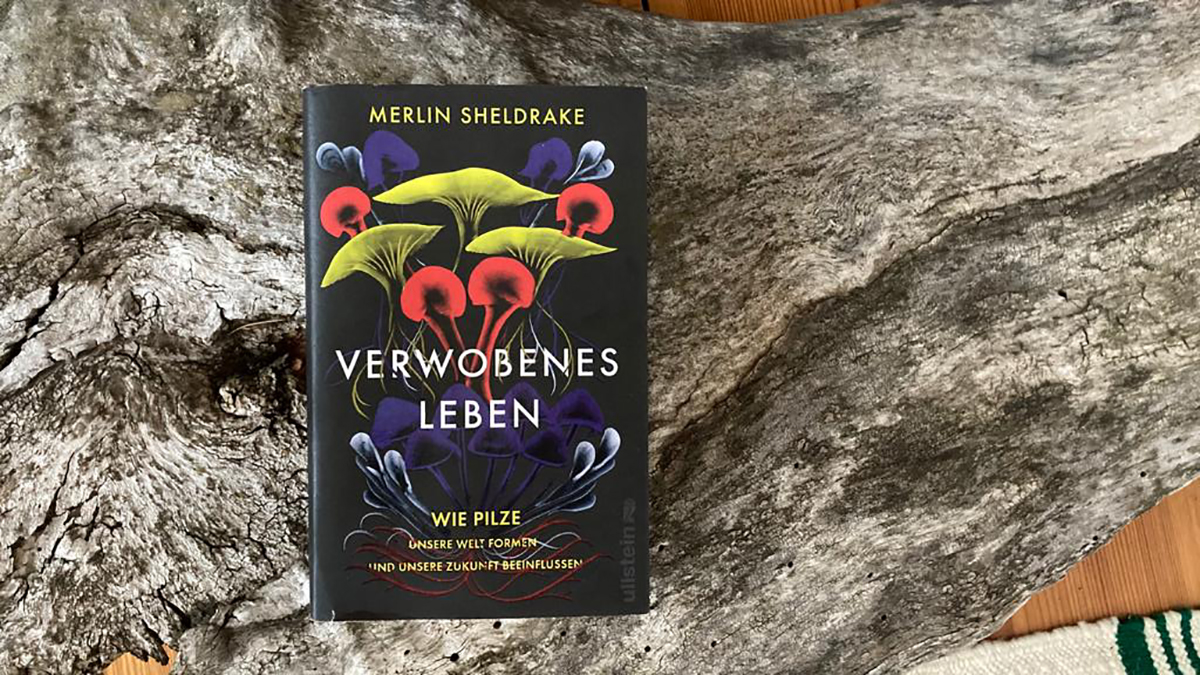 Merlin Sheldrake – Verwobenes Leben | Lesen und lesen lassen