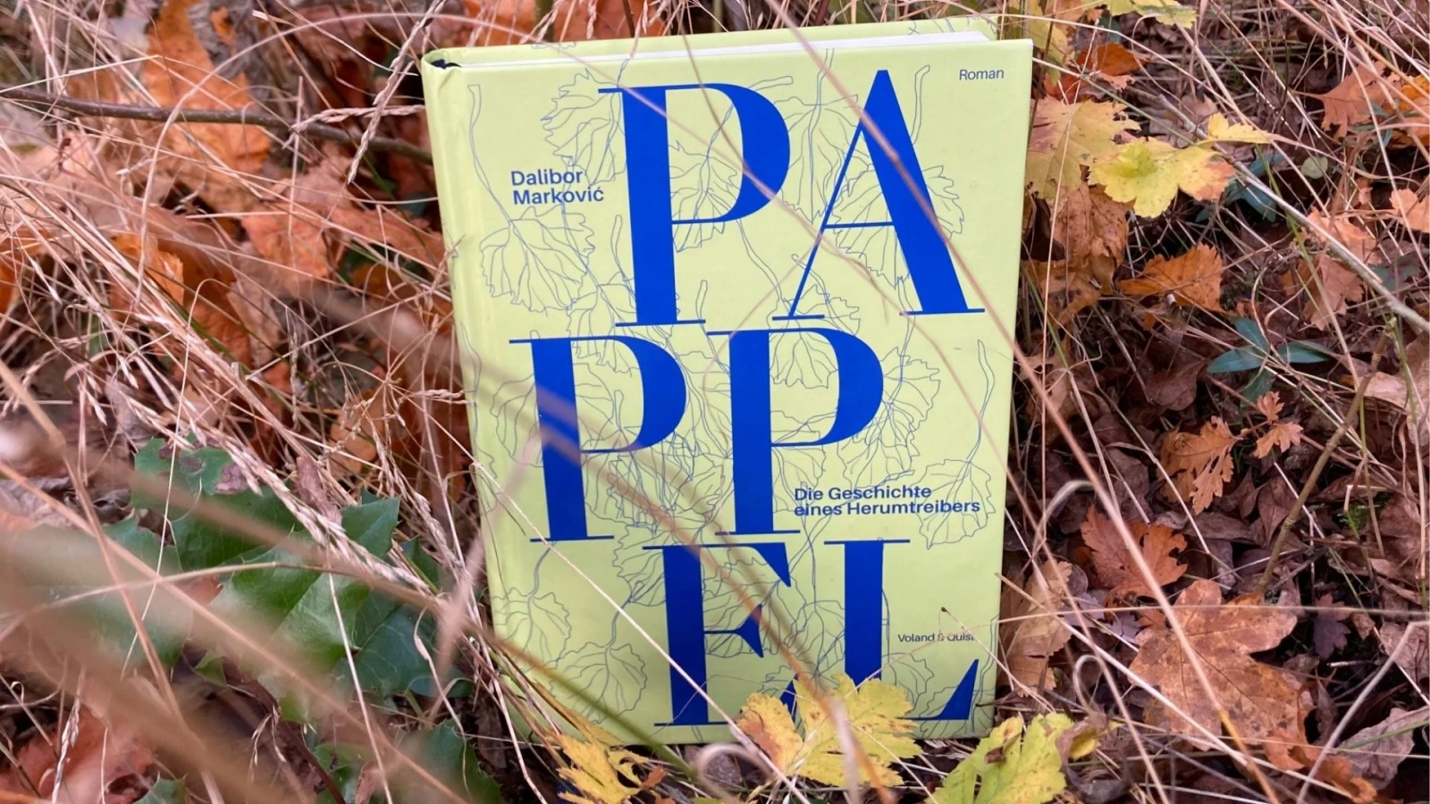 Dalibor Marković – Pappel | Lesen und lesen lassen Dalibor Marković – Pappel | Lesen und lesen lassen