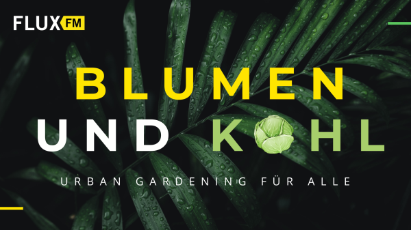 FluxFM BLUMEN & KOHL | Urban Gardering für alle, © FluxFM