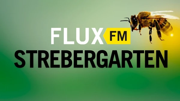 Folge 5: Mehr als Gemüse: Artenvielfalt und Klimaschutz in grünen Stadtoasen | FluxFM im Strebergarten, © Foto: mariananbu auf Pixabay Folge 5: Mehr als Gemüse: Artenvielfalt und Klimaschutz in grünen Stadtoasen | FluxFM im Strebergarten, © Foto: mariananbu auf Pixabay